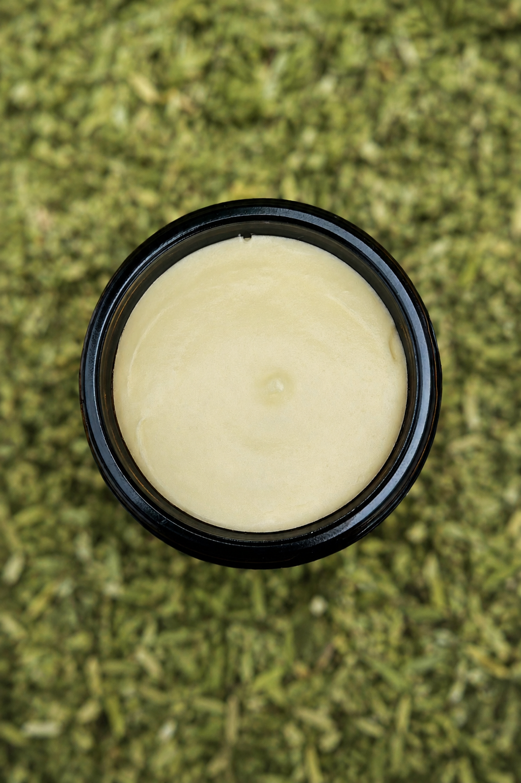 Healer Tallow Whip